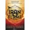 Iron Flame - Vasláng (Fourth Wing 2.)