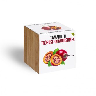   Tamarillo trópusi paradicsomfa növény nevelő szett - növényem fa kockában