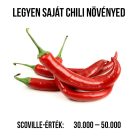 Cayenne red chili paprika növény nevelő szett, Cayenne red chili paprika növény nevelő szett