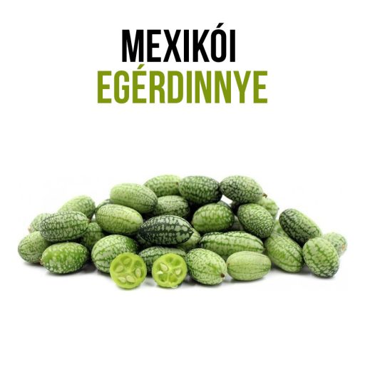 Mexikói egérdinnye növény nevelő szett