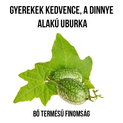 Mexikói egérdinnye növény nevelő szett