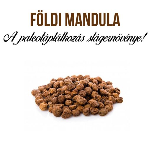 Földimandula - Tigrismogyoró növény nevelő szett