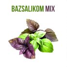 Bazsalikom növény nevelő szett, Bazsalikom növény nevelő szett