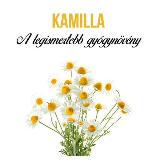Kamilla növény nevelő szett