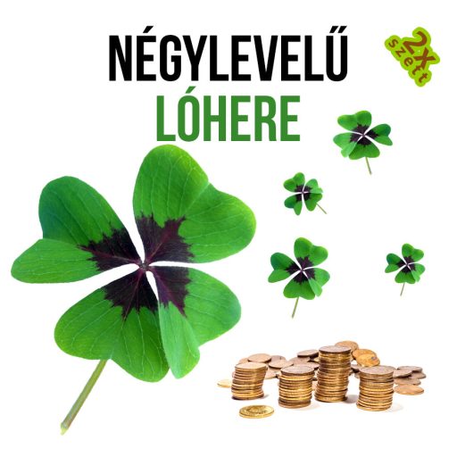 Szerencsehozó lóhere növény nevelő szett