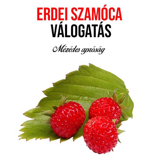 Erdei szamóca válogatás növény nevelő szett