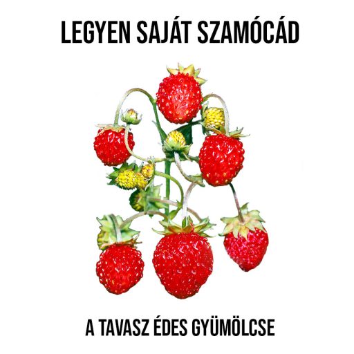 Erdei szamóca válogatás növény nevelő szett