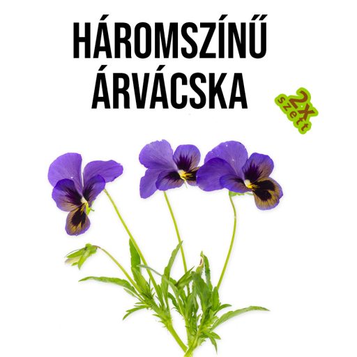 Háromszínű árvácska növény nevelő szett